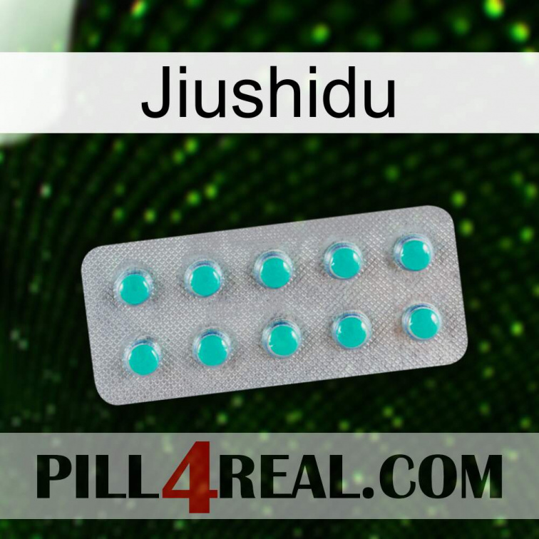 Jiushidu 28